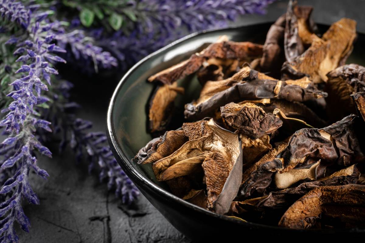 Getrocknete Pilze für Köche und Gastronomie