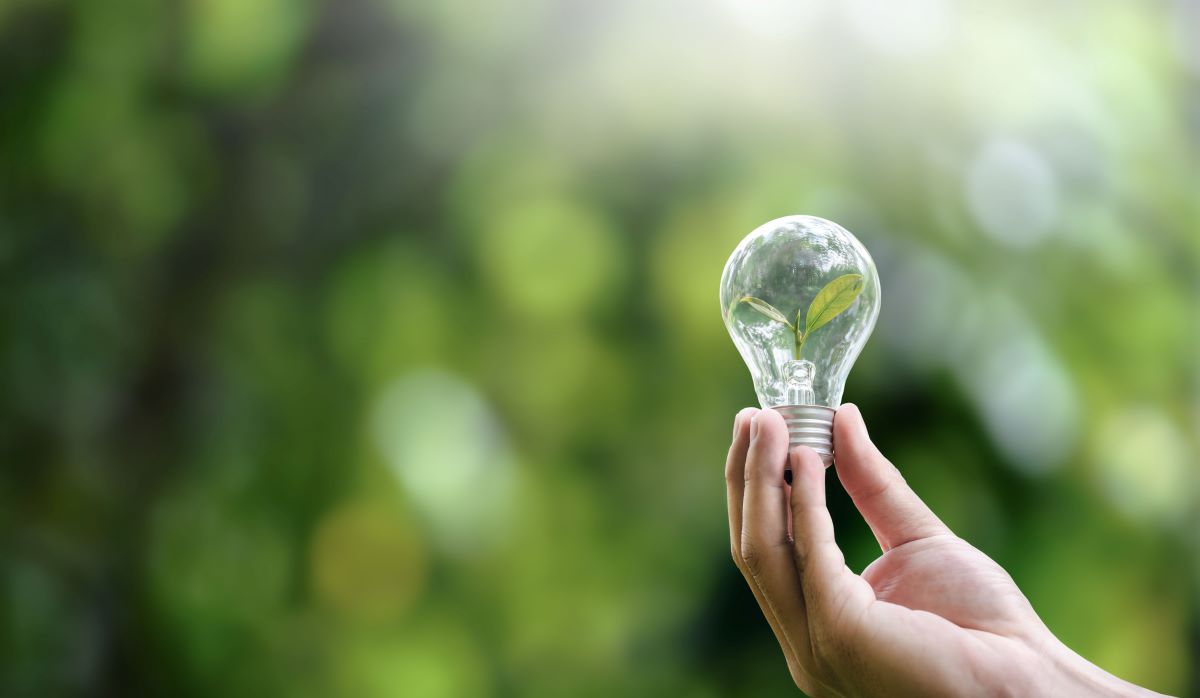 Energiesparen im Haushalt: 10 wirksamste Maßnahmen