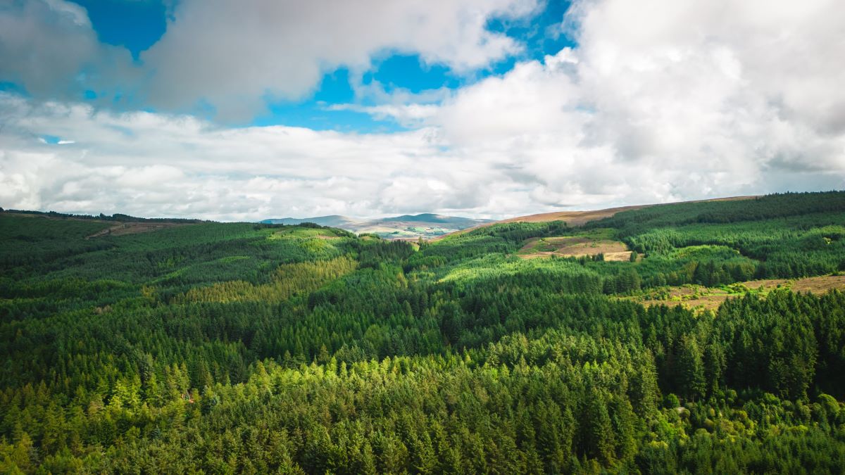 Natur entdecken: Naturschätze vor deiner Haustür