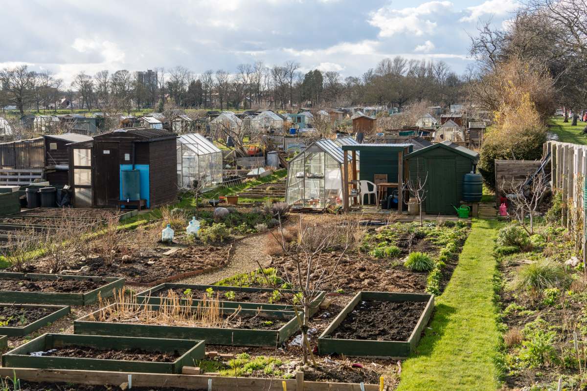 Schrebergarten in Konstanz: Pacht, Regeln und praktische Tip